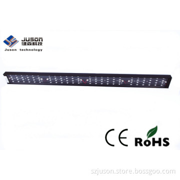 Wholesale Cheap China Made LED Grow Lights 96W Red/Blue